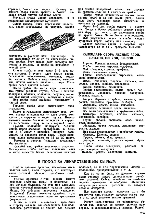 Коллективный сборник - Книга вожатого - Страница № 268 Коллективный сборник - Книга вожатого - Страница № 268
