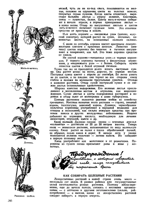 Коллективный сборник - Книга вожатого - Страница № 269 Коллективный сборник - Книга вожатого - Страница № 269