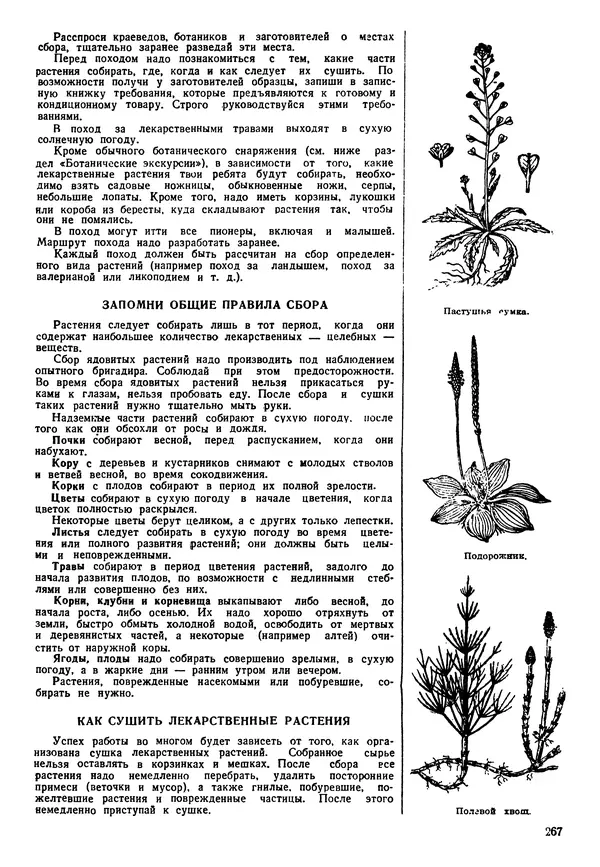 Коллективный сборник - Книга вожатого - Страница № 270 Коллективный сборник - Книга вожатого - Страница № 270