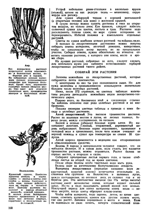 Коллективный сборник - Книга вожатого - Страница № 271 Коллективный сборник - Книга вожатого - Страница № 271