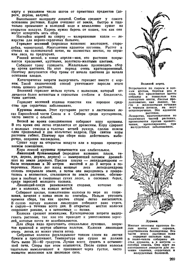 Коллективный сборник - Книга вожатого - Страница № 272 Коллективный сборник - Книга вожатого - Страница № 272