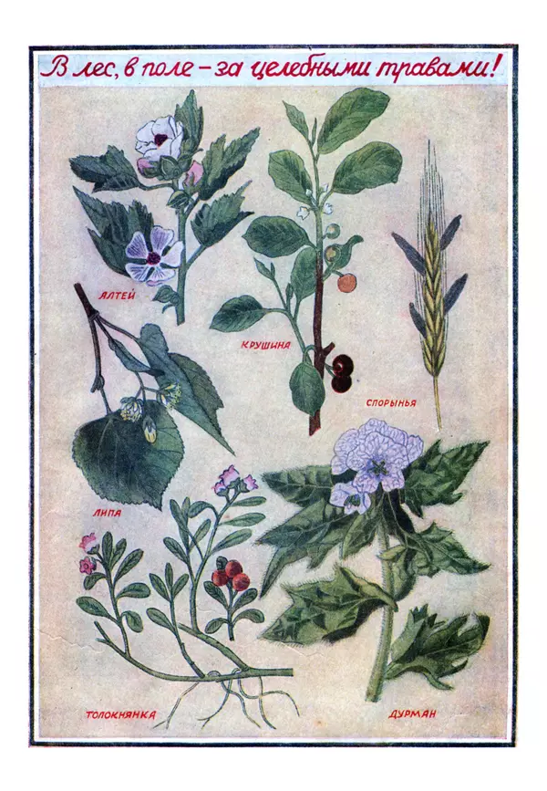 Коллективный сборник - Книга вожатого - Страница № 276 Коллективный сборник - Книга вожатого - Страница № 276