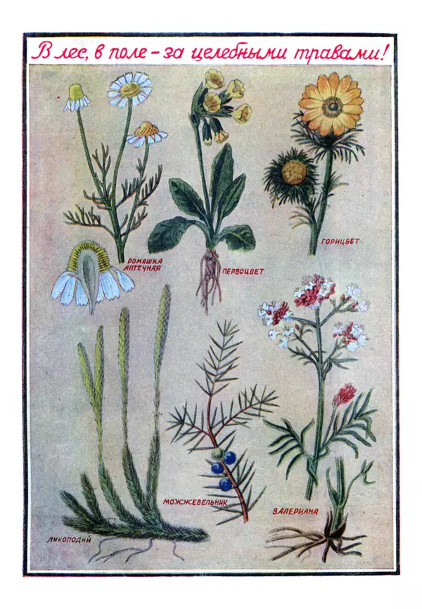 Коллективный сборник - Книга вожатого - Страница № 277 Коллективный сборник - Книга вожатого - Страница № 277