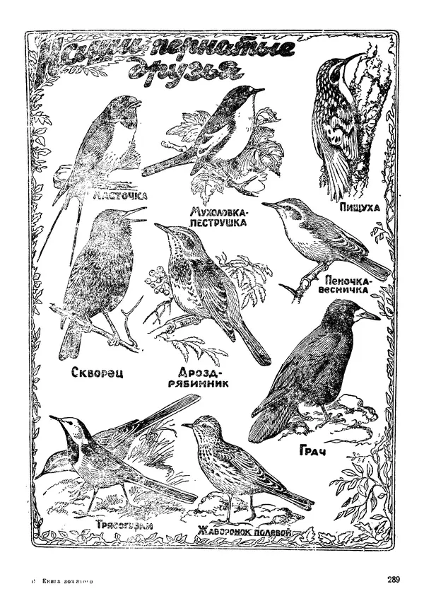 Коллективный сборник - Книга вожатого - Страница № 298 Коллективный сборник - Книга вожатого - Страница № 298