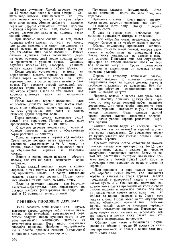 Коллективный сборник - Книга вожатого - Страница № 303 Коллективный сборник - Книга вожатого - Страница № 303