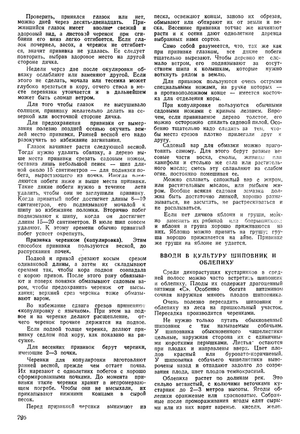 Коллективный сборник - Книга вожатого - Страница № 305 Коллективный сборник - Книга вожатого - Страница № 305