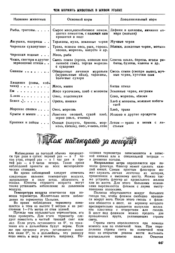 Коллективный сборник - Книга вожатого - Страница № 456 Коллективный сборник - Книга вожатого - Страница № 456