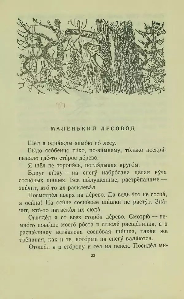 Георгий Скребицкий - В лесу и на речке - Страница № 24 Георгий Скребицкий - В лесу и на речке - Страница № 24