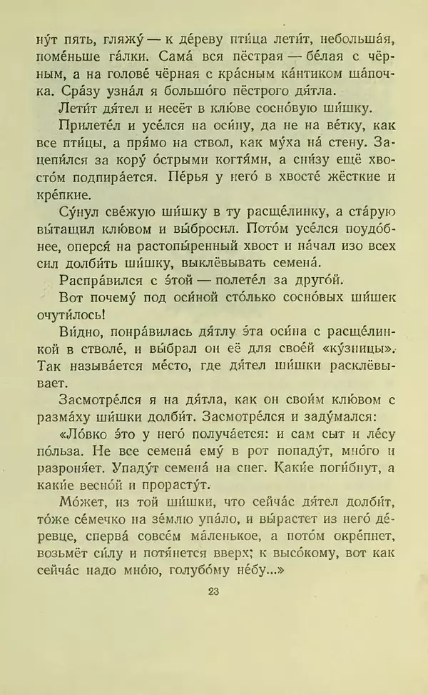 Георгий Скребицкий - В лесу и на речке - Страница № 25 Георгий Скребицкий - В лесу и на речке - Страница № 25