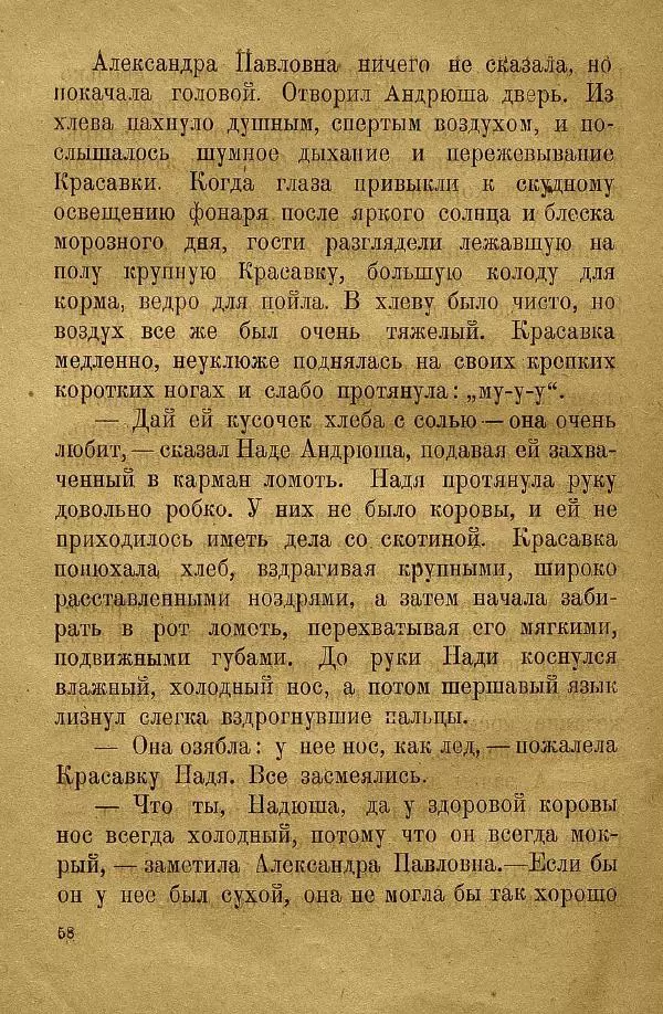 Н. Липина - Бабушка Андрюша - Страница № 60