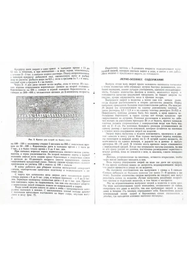 Ф. Бойко - Опыт разведения нутрий на Изюмской ферме - Страница № 4