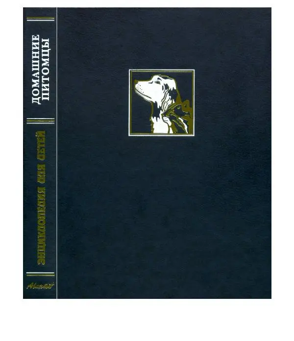  Энциклопедия для детей Аванта+ - Энциклопедия для детей. Том 24. Домашние питомцы - Страница № 2