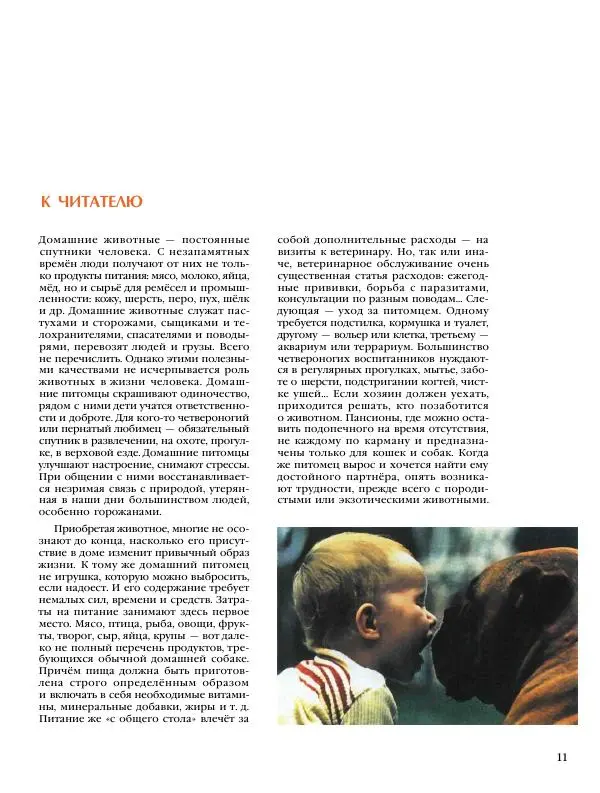  Энциклопедия для детей Аванта+ - Энциклопедия для детей. Том 24. Домашние питомцы - Страница № 13