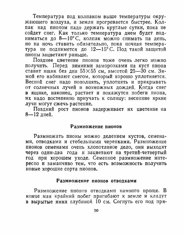Александр Калашников - Уход за цветами и садом  - Страница № 21