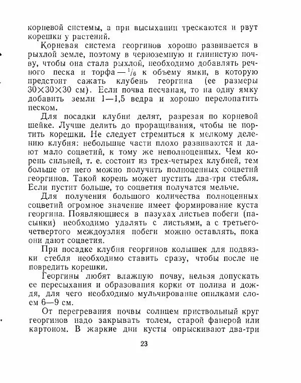 Александр Калашников - Уход за цветами и садом  - Страница № 24