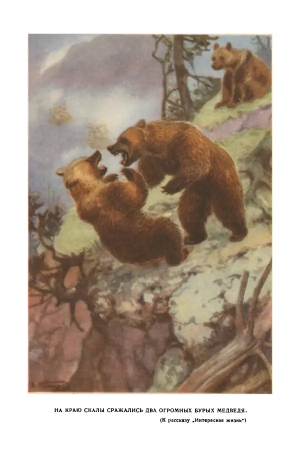 Петр Мантейфель - Рассказы натуралиста - Страница № 10