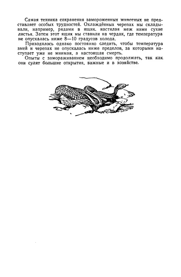 Петр Мантейфель - Рассказы натуралиста - Страница № 108