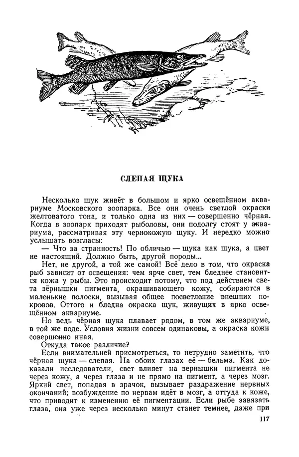 Петр Мантейфель - Рассказы натуралиста - Страница № 120