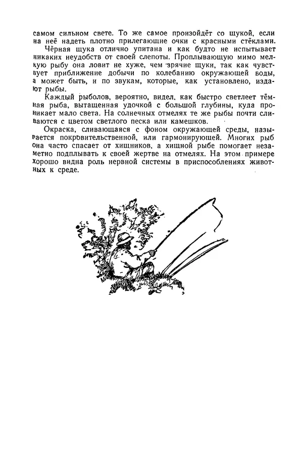 Петр Мантейфель - Рассказы натуралиста - Страница № 121
