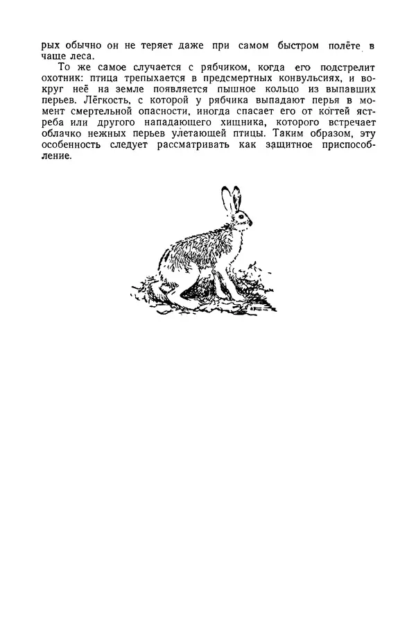 Петр Мантейфель - Рассказы натуралиста - Страница № 124