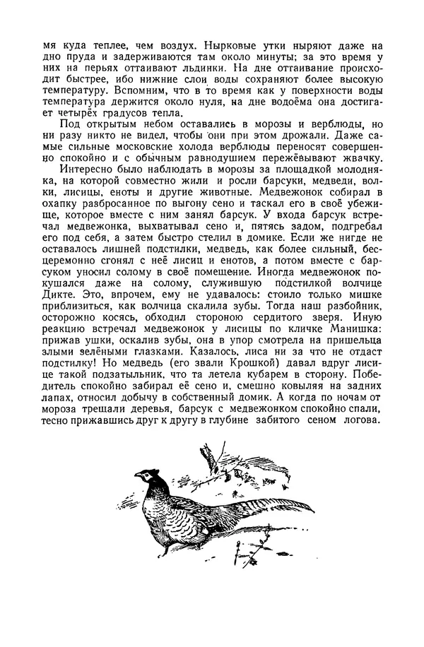 Петр Мантейфель - Рассказы натуралиста - Страница № 126