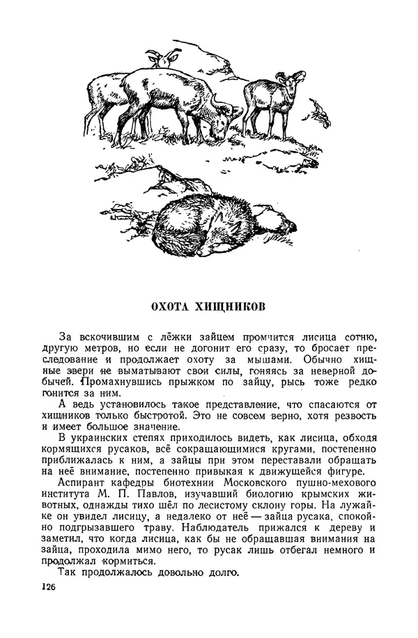 Петр Мантейфель - Рассказы натуралиста - Страница № 129