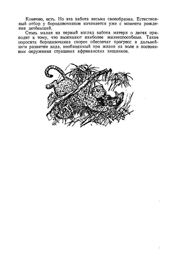 Петр Мантейфель - Рассказы натуралиста - Страница № 134