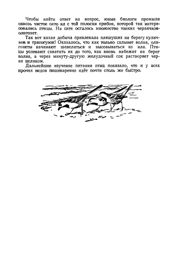 Петр Мантейфель - Рассказы натуралиста - Страница № 142