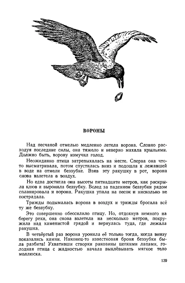 Петр Мантейфель - Рассказы натуралиста - Страница № 143
