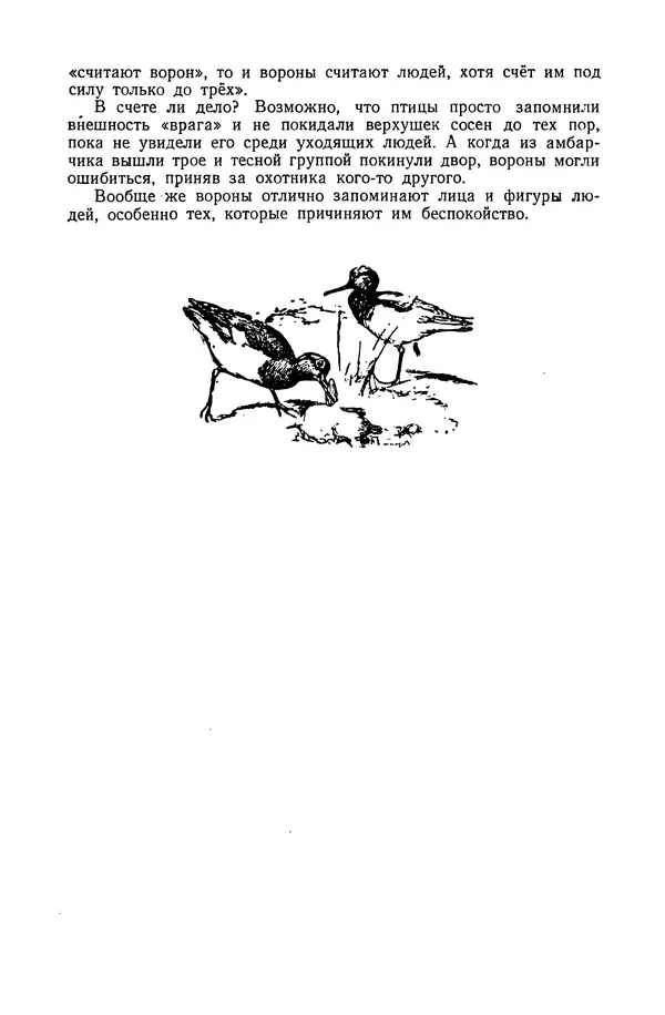 Петр Мантейфель - Рассказы натуралиста - Страница № 146