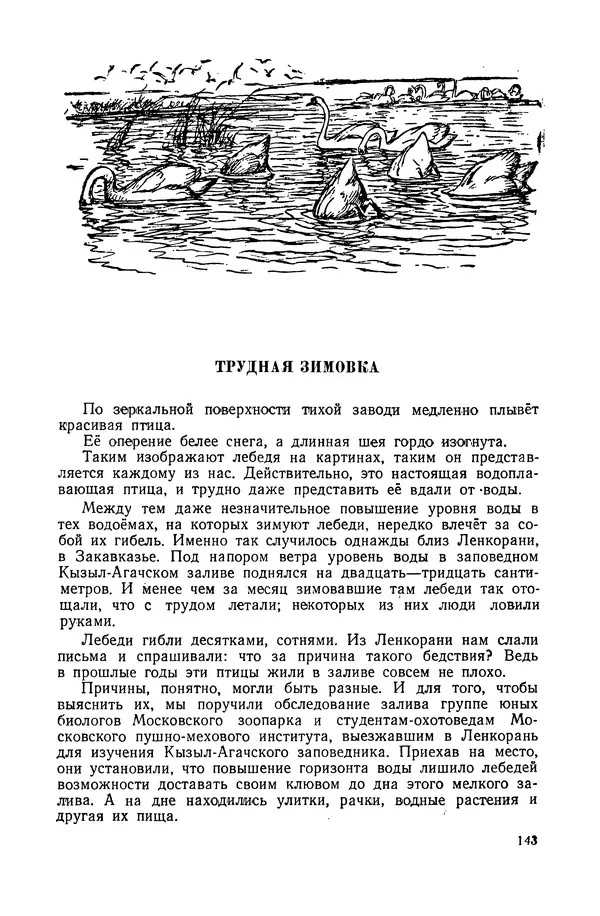 Петр Мантейфель - Рассказы натуралиста - Страница № 147