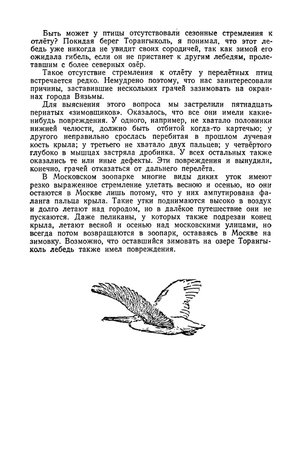 Петр Мантейфель - Рассказы натуралиста - Страница № 151