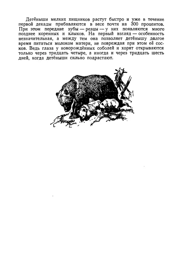 Петр Мантейфель - Рассказы натуралиста - Страница № 154