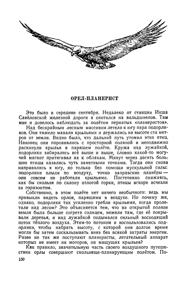 Петр Мантейфель - Рассказы натуралиста - Страница № 155