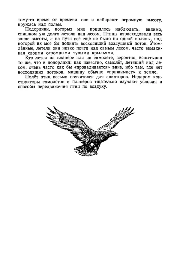 Петр Мантейфель - Рассказы натуралиста - Страница № 156