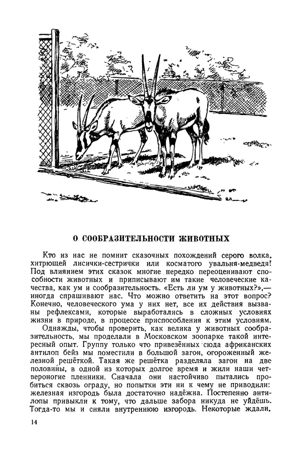 Петр Мантейфель - Рассказы натуралиста - Страница № 16