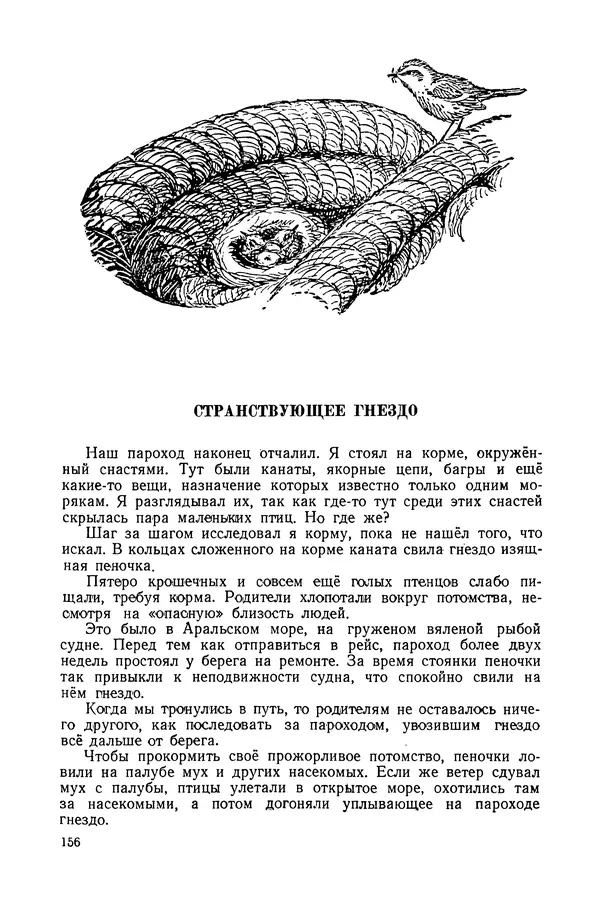 Петр Мантейфель - Рассказы натуралиста - Страница № 161