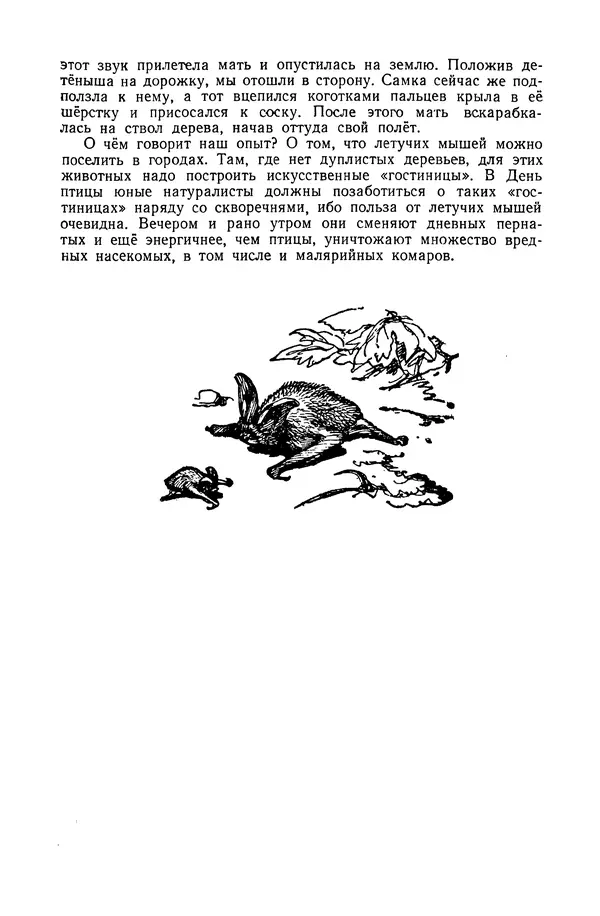 Петр Мантейфель - Рассказы натуралиста - Страница № 169