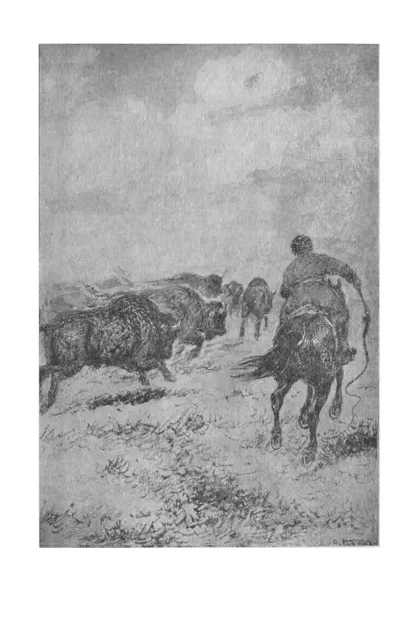 Петр Мантейфель - Рассказы натуралиста - Страница № 174