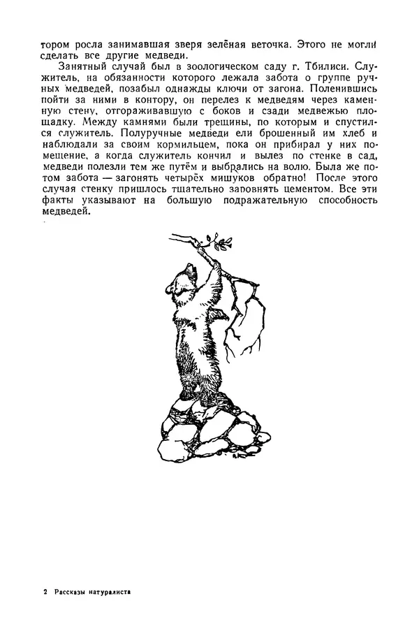 Петр Мантейфель - Рассказы натуралиста - Страница № 19