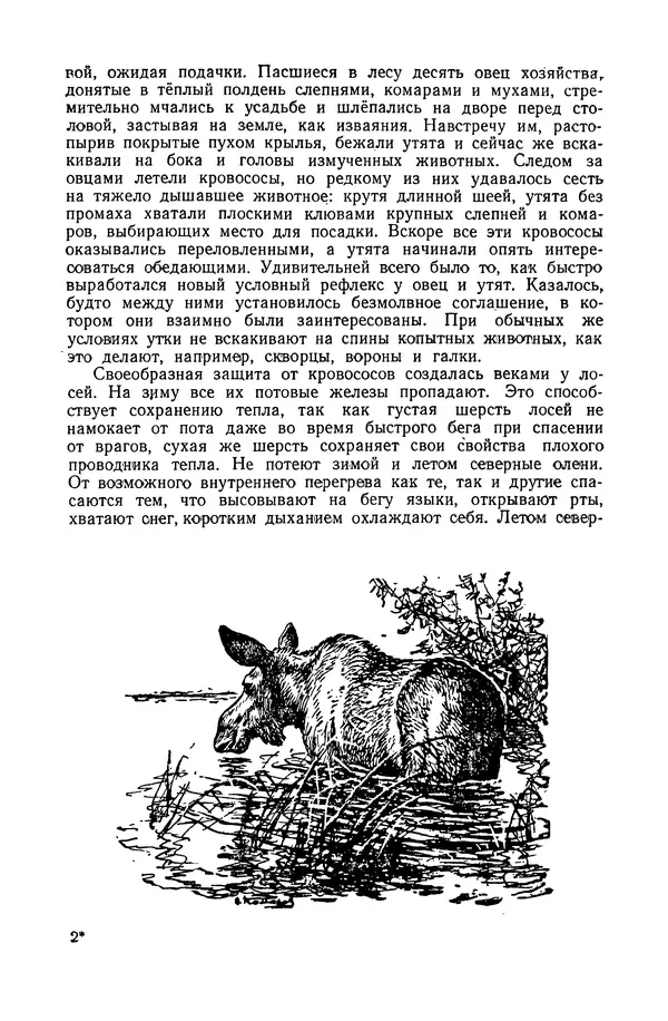 Петр Мантейфель - Рассказы натуралиста - Страница № 21