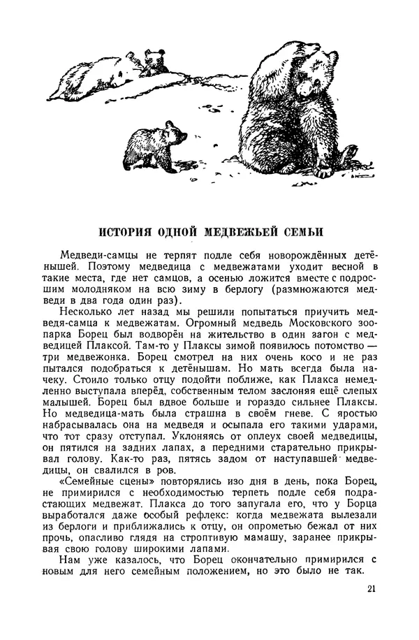 Петр Мантейфель - Рассказы натуралиста - Страница № 23