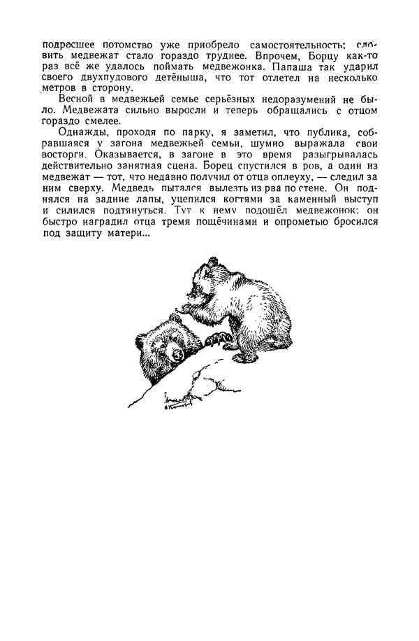 Петр Мантейфель - Рассказы натуралиста - Страница № 26