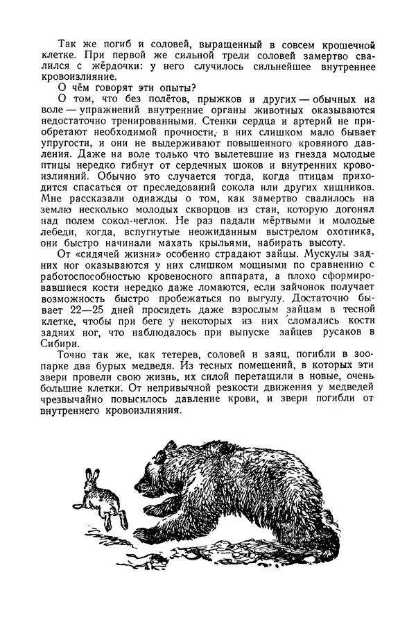 Петр Мантейфель - Рассказы натуралиста - Страница № 33