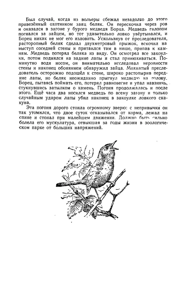 Петр Мантейфель - Рассказы натуралиста - Страница № 34
