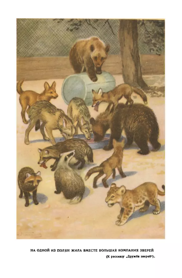 Петр Мантейфель - Рассказы натуралиста - Страница № 43