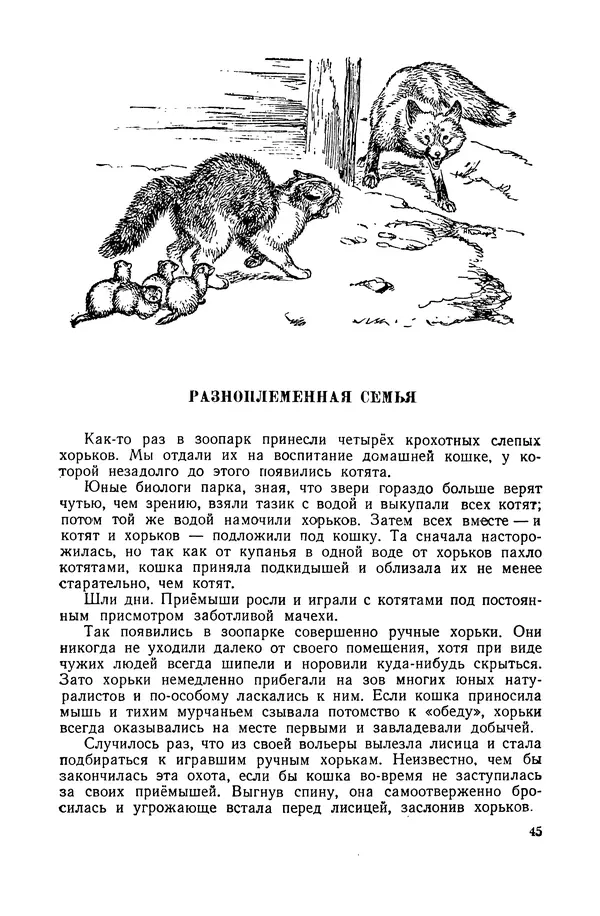 Петр Мантейфель - Рассказы натуралиста - Страница № 48