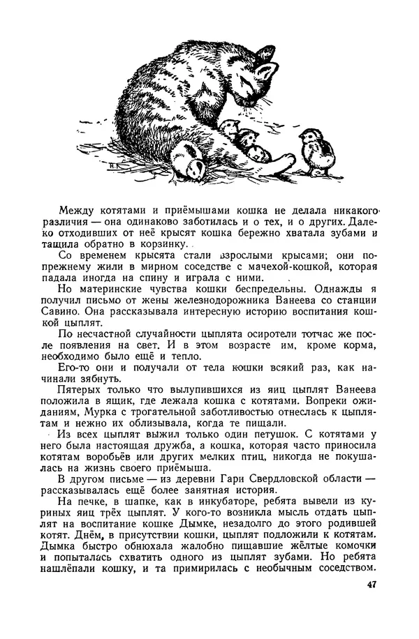 Петр Мантейфель - Рассказы натуралиста - Страница № 50