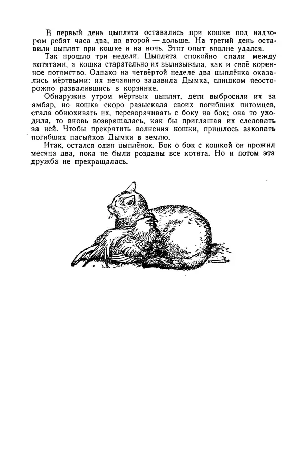 Петр Мантейфель - Рассказы натуралиста - Страница № 51