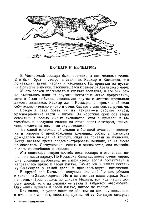Петр Мантейфель - Рассказы натуралиста - Страница № 52